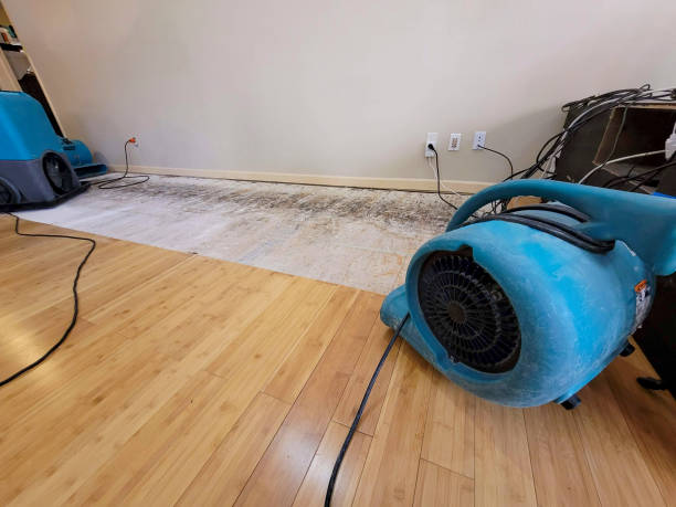 Professional Water Damage Repair technician working in Powell, OH